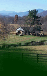 farmpic.gif (27584 bytes)