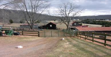 The old Barns.